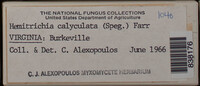 Image Associated With the Occurence